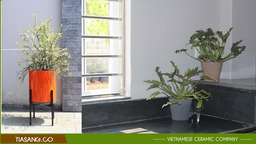 Indoor Planters