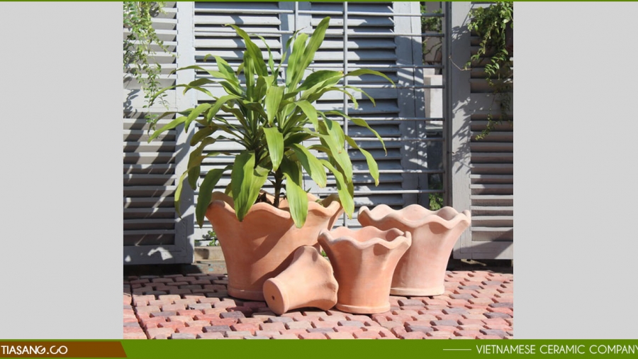 Terracotta Planters